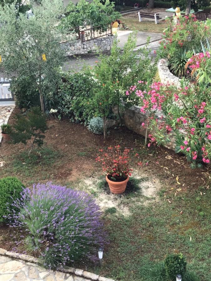 Apartmani Misic Ždrelac Eksteriør bilde
